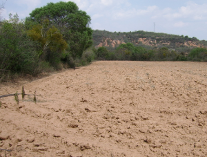 suelo erosionado