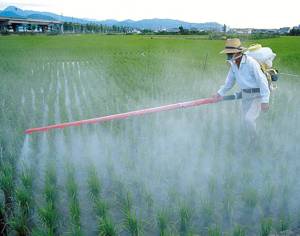 suelo-agroquimicos