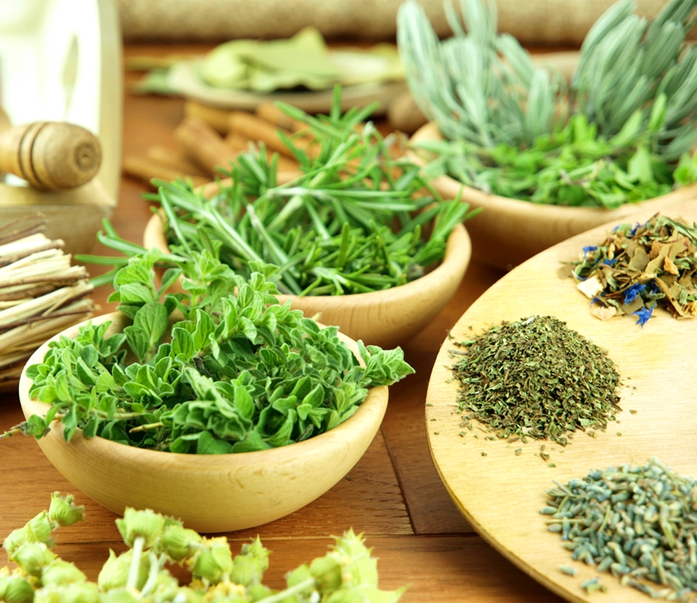 Herbal Medicine Workshop