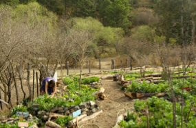 EcoAldeas en Argentina: Hablando con los hacedores