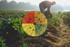 agricultura biodinamica