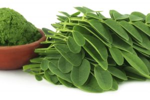 moringa