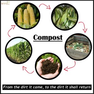 Ciclo Compost