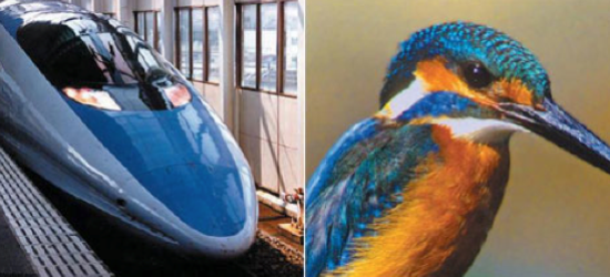 shinkansen biomimicry