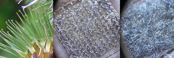 velcro biomimicry