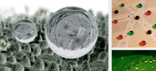 vidrios biomimicry