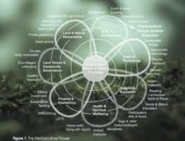 curso permacultura urbana